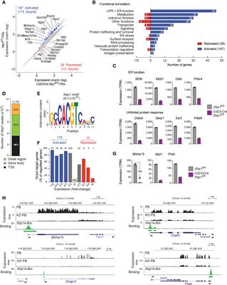 The Xbp1-regulated transcription factor Mist1 restricts antibody secretion by restraining Blimp1 expression in plasma cells